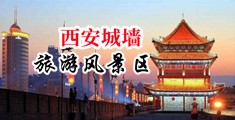 粉色视频啊啊啊鸡把大好爽啊中国陕西-西安城墙旅游风景区